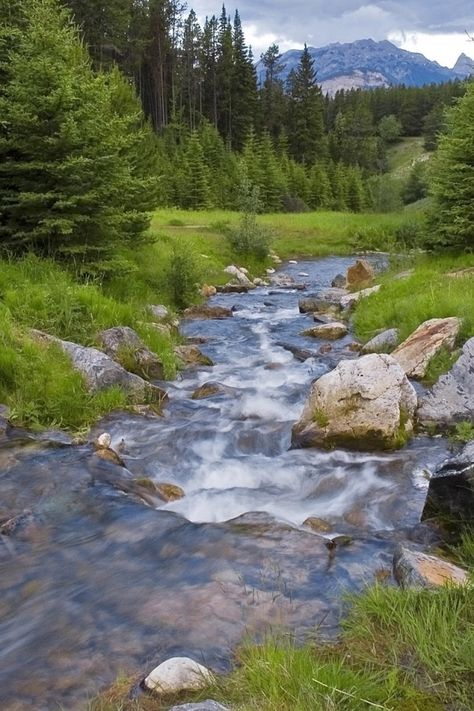 640x960 Wallpaper wood, river, stream, mountains, greens River Stream, Wood River, Mountain Stream, Mac Laptop, Hd Background, Backgrounds Phone Wallpapers, Beautiful Places Nature, Nature Garden, Green Landscape