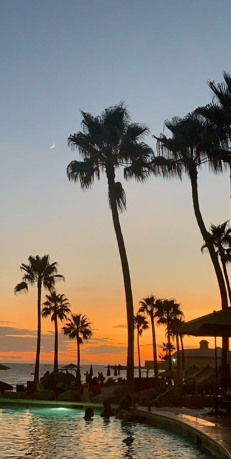 Puerto Peñasco Bonito, Trees, Palm Trees, Puerto Penasco, Puerto Peñasco, 2024 Vision, Aesthetic Pictures, Vision Board, Celestial Bodies