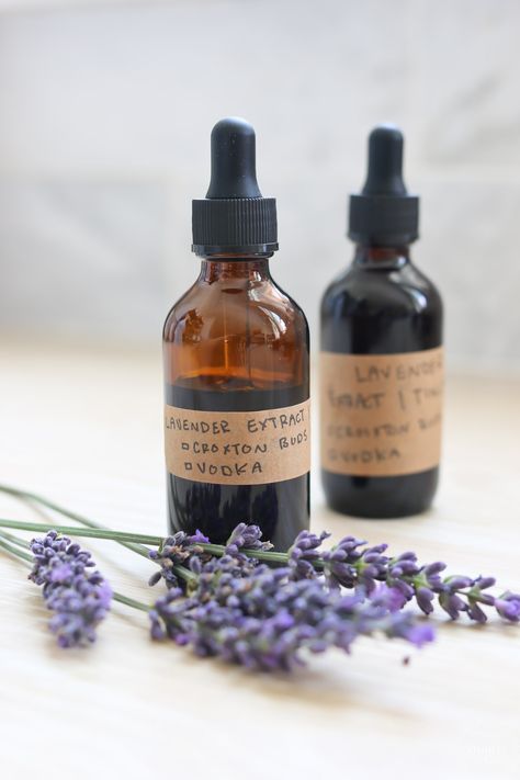 Lavender Tincture, Homemade Essentials, Lavender Cookies, Herb Garden Pots, Container Herb Garden, Lavender Recipes, Herbal Remedies Recipes, Medicinal Herbs Garden, Lavender Benefits