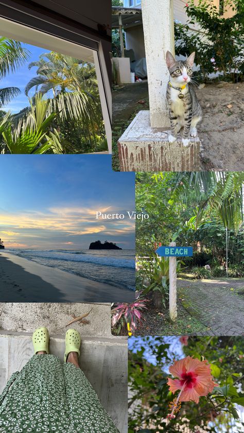 Costa Rica Instagram Story, Costa Rica Study Abroad, Costa Rica Captions, Costs Rica Aesthetic, Costa Rica Aesthetic Wallpaper, Costa Rica Travel Aesthetic, Costa Rica Instagram Pictures, Costa Rica Picture Ideas, Aesthetic Green Nature