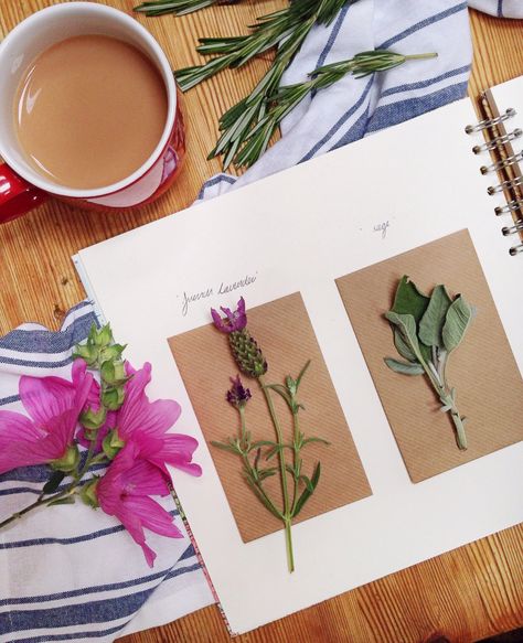 Pressed Flower Journal Pressed Flower Scrapbook Ideas, Dried Flower Journal Ideas, Flower Press Scrapbook, Pressed Flowers In Journal, Pressed Flower Journal Ideas, Pressed Flower Scrapbook, Dried Flowers Journal, Dried Flower Journal, Flower Pressing Journal