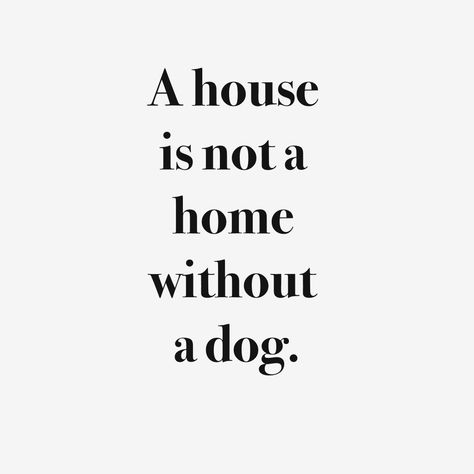 A house is not a Home without a Dog Bohol, Dog Quotes, 20th Quote, Best Friend Quotes, Animal Quotes, Love Your Life, Mans Best Friend, Friends Quotes, I Love Dogs