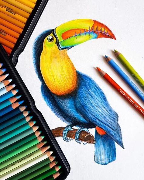 Animal Pencil Drawing Pencil Colours Art Drawings, Pencil Colour Painting, Realistic Animal Drawings, Color Pencil Sketch, Color Pencil Illustration, Pencil Drawings Of Animals, Colored Pencil Artwork, Nature Art Painting, Color Pencil Drawing