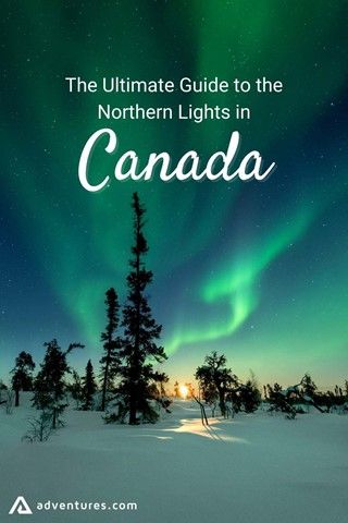 Canada Destinations, Northern Lights Canada, Winter Northern Lights, Animals Graphic, Northern Canada, Canada Holiday, Canadian Winter, Visit Canada, See The Northern Lights