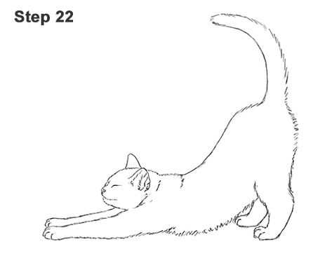 Draw a Tabby Cat Stretching 22 Cat Stretch Tattoo, Cat Drawing Tattoo, Two Cats Drawing, Cats Stretching, Drawing A Cat, Tattoo Gato, Cats Drawings, Cat Draw, Stretching Cat