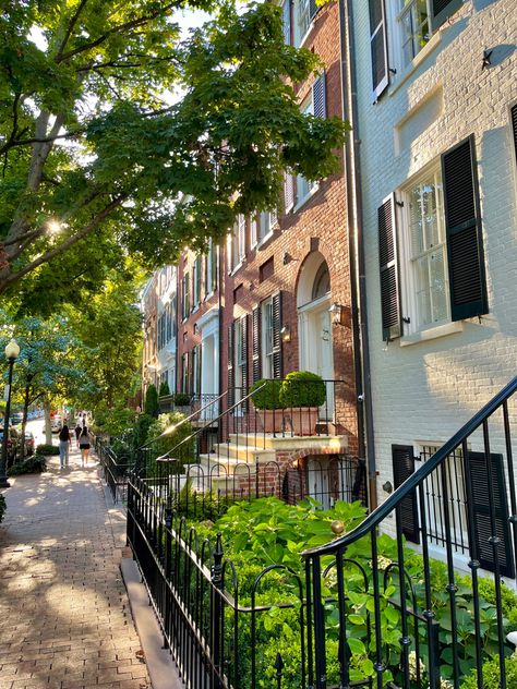 Washington Dc Job Aesthetic, Washington Dc Brownstone, Washington Dc Nature, Georgetown Dc Homes, Gw University Aesthetic, Nyc Townhouse Aesthetic, Washington Dc Home, New York Townhouse Aesthetic, Dc Washington Aesthetic