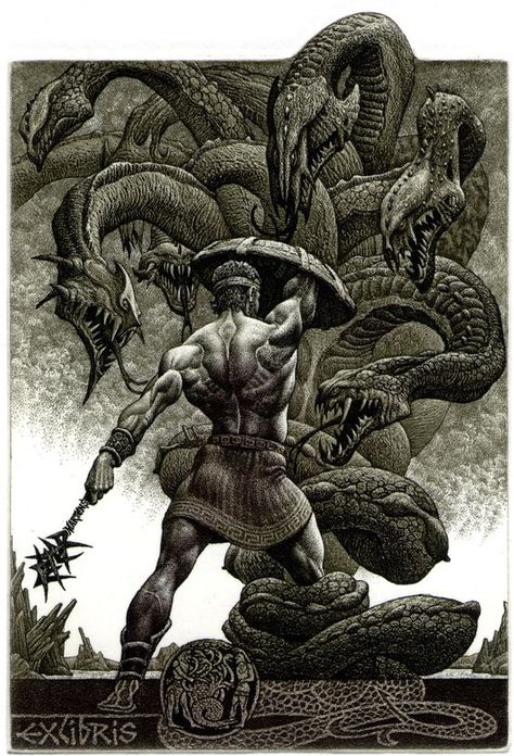 Herakles and Hydra, etching by Julian Jordanov (bookplate) Hercules And Hydra, Hydra Hercules, Lernean Hydra, Hydra Tattoo, Monsters Mythology, Hercules Tattoo, Greek God Tattoo, Greek Mythology Tattoos, God Tattoos