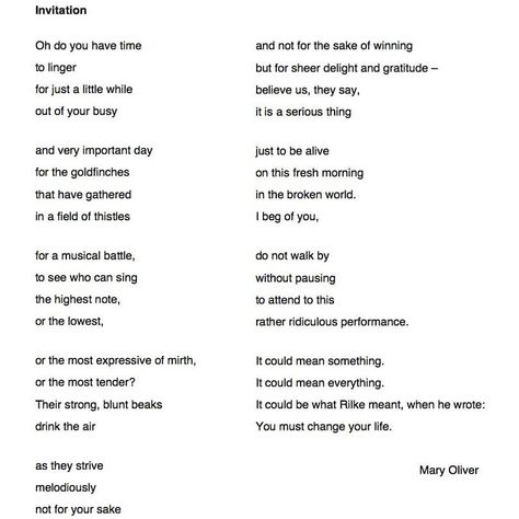 @poetryisnotaluxury on Instagram: “Invitation by Mary Oliver From Red Bird: Poems @beaconpress 2008.” Poetry, Gratitude, Bird Poems, Instagram Invitation, Mary Oliver Poems, Mary Oliver, Red Bird, Red Birds, Sake