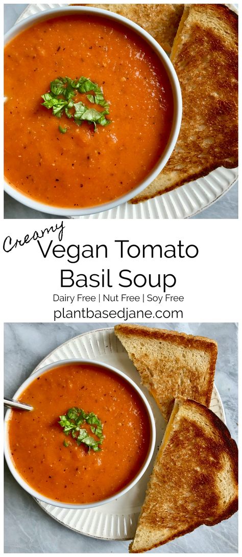 Vegan Tomato Bisque, Best Tomato Soup, Tomato Basil Soup Recipe, Vegetable Soups, Vegetarian Comfort Food, Easy Main Dishes, Plant Based Recipes Easy, Tomato Bisque, Healthy Vegetable Recipes