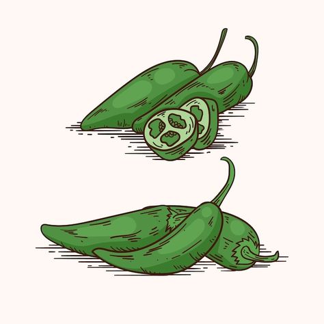 Free vector hand drawn jalapeno drawing ... | Free Vector #Freepik #freevector #jalapeno #food-illustration #spicy-food #spicy Spicy Food Drawing, Jalapeno Drawing, Spicey Illustration, Spicey Drawings, Jalapeño Tattoo, Spicy Drawing, Food Spicy, Inktober 2023, Allah Photo