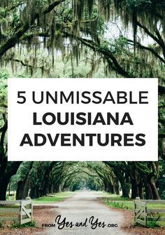 Louisiana, Travel, Things To Do In Louisiana, Louisiana Travel, Travel Ideas, Mardi Gras, Family Travel, Things To Do