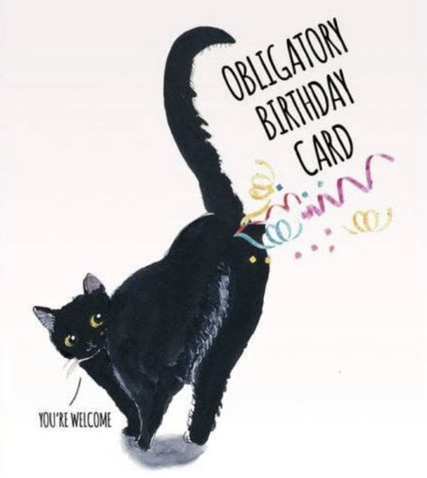Bday Wishes Funny, Happy Bday Funny, Happy Birthday Weirdo, Cat Birthday Funny, Cat Activities, Cat Enrichment, Cute Birthday Wishes, Free Happy Birthday Cards, Happy Birthday Illustration