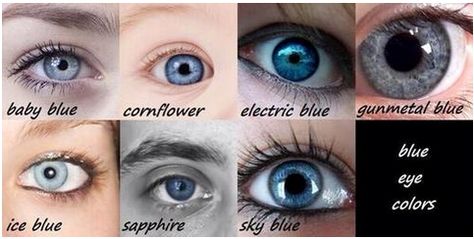 shades of blue eyes.... always thought mine were gray.. i'll start calling them gunmetal lol Eye Color Chart, Blue Eye Color, Types Of Blue, Eye Colors, Green Eye, Writing Characters, Brown And Green, Creating Characters, Writing Resources