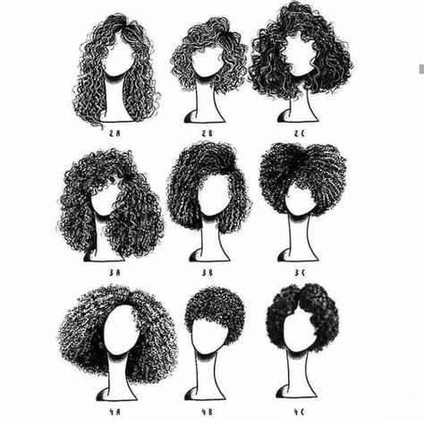 Long Curly Hair 😍💜 on Instagram: “Which is your type? Mine is 3b 😍❤️ . . . . . . . . #longcurlyhair #longhair #curlygirls #curlyhair #curls #bighair #cacheada…” Short Curly Hair, 3b Curly Hair, 3c Curly Hair, 3c Hair, Hair Sketch, Curly Hair Routine, Curly Hair Care, Hair Curly, Hair Reference