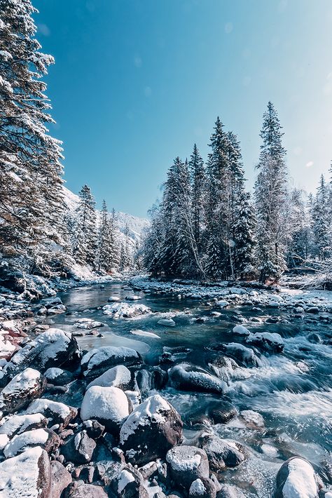 Snow Forest Photography, Winter Forest Mountain, Snow Covered Forest, Winter Forest Photography, Siberia Landscape, Siberia Aesthetic, Siberia Photography, Russia Forest, Forest With Snow