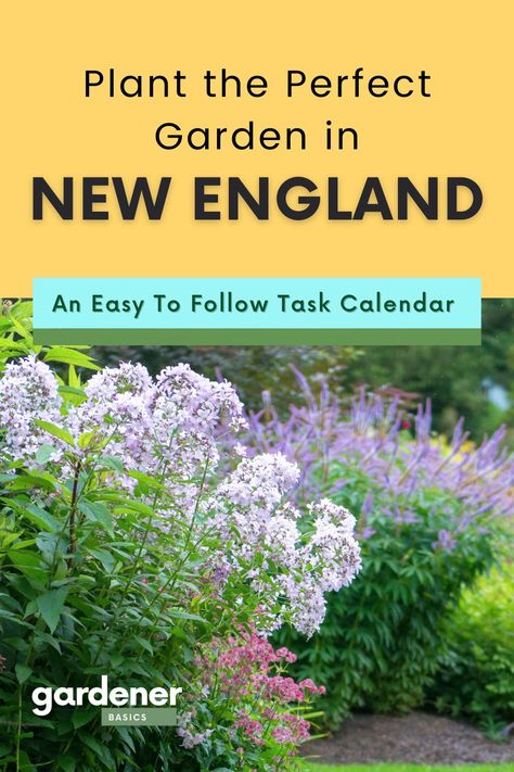 Nature, Flower Beds In Front Of House New England, New England Garden Design, New England Flowers, New England Landscaping Ideas, New England Garden Ideas, Cape Cod Garden Landscaping, New England Perennial Garden, New England Front Yard Landscaping