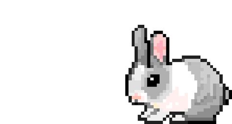 Bunny jumping Animated Bunny, Welcome Gif, Arte Gif, Arte 8 Bits, Pixel Animation, 8bit Art, Cute Banners, 8 Bits, Banner Gif