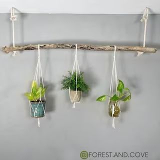 TheForestAndCove - Etsy Driftwood Plant Hanger, Driftwood Plant, Macrame Plant Hanger Wall, Plant Hanger Wall, Planter Macrame, Indoor Plant Hangers, Plant Room, Macrame Planter, Sustainable Decor