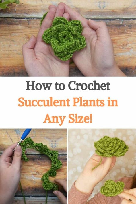 Succulents have taken over every modern home in recent years, and why not? they are all super cute. And if you're a big fan of them, you'll love this tutorial from Swerella on how to crochet succulents in any size you want, because everyone needs a succulent yarn in their life. If you've ever crocheted roses, this one is pretty similar, but with a slight adjustment to the petals to make them more pointed on the top of the leaves. So if you've ever tried the roses this will be a breeze. Find... Amigurumi Patterns, Succulents Crochet Free Pattern, Crochet Leaf Stitch Free Pattern, Free Crochet Hanging Plant Patterns, Crochet Greenery Free Pattern, Crochet Succulent Pattern Free, Succulent Crochet Free Pattern, How To Crochet Leaves, Crochet Hanging Succulent