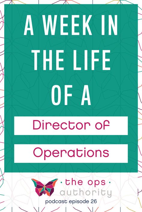 Daily Method Of Operation Business, How To Be A Director, Director Of Operations, Operations Coordinator, Va Branding, Work Communication, Organizational Design, Operations Manager, Production Manager