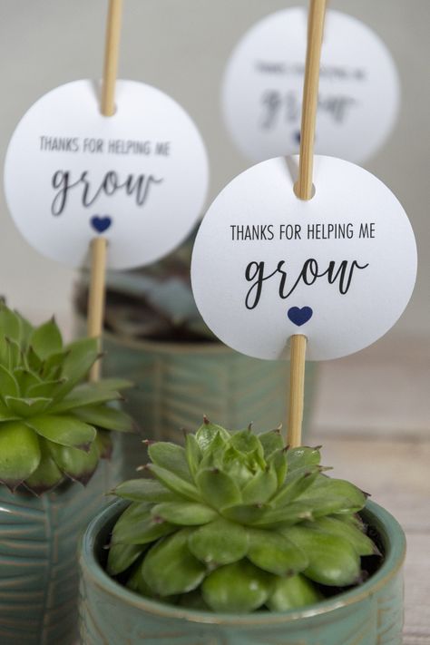 Plant As Gift Ideas, Thank You Gift To Teacher, Teacher Gifts Plant, Plant Teacher Gifts, Thank You Souvenirs Gift Ideas, Gift Ideas Thank You, Succulent Appreciation Gift, Teachers Day Giveaways, New Year Gift For Teachers