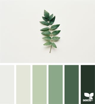Nature Tones | design seeds | Bloglovin’ Design Seed, Eksterior Modern, Color Verde Claro, Yellow Colour Scheme, Green Sage, Green Pastel, Grey Color Palette, Nature Color Palette, Green Colour Palette