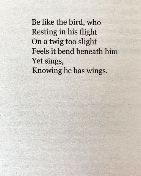 Secret Chords - apoemfortheday on Instagram: "Poem for Friday March 24th. Be Like The Bird by Victor Hugo." Poem About Birds, Bird Poems Quotes, Bug Poem, Poems About Birds, Quotes About Birds, Bird Poetry, Bird Poems, Photography Captions, Famous Poetry