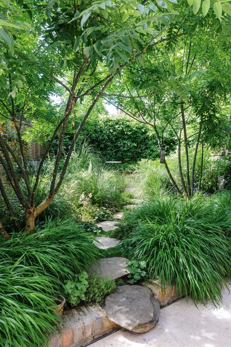 Kendra Wilson, Urban London, Alchemilla Mollis, Home Garden Ideas, Japanese Pagoda, Perennial Grasses, London Garden, Raised Planter, Chelsea Flower Show