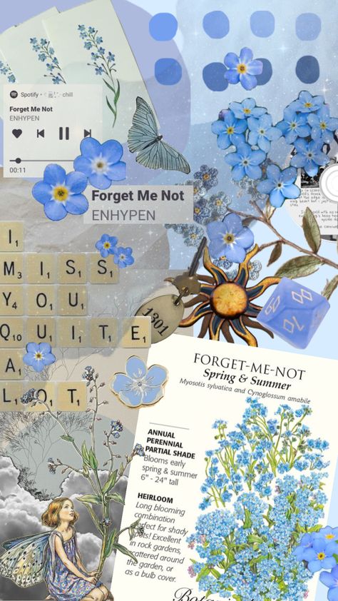 #forgetmenot #blue #flowers #aesthetic #wallpaper Forget Me Not Aesthetic Wallpaper, Blue Flowers Aesthetic Wallpaper, Blue Flowers Aesthetic, Flowers Aesthetic Wallpaper, Flores Wallpaper, Forget Me Nots Flowers, Not Wallpaper, Not Aesthetic, Blue Flower Wallpaper