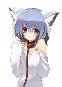 Illustration Manga, Gato Anime, Cat Anime, Art Manga, Chibi Anime, Anime Wolf, Anime Animals, Anime People, Anime Cat