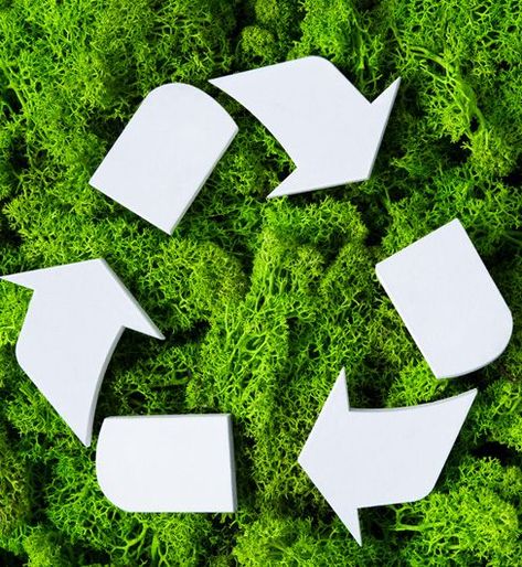 Sustainable Plastic Waste Management Project Plan Waste Management Plan, Plastic Waste Management, Waste Management System, Plastic Recycling, Recycling Facility, Project Plan, Plastic Industry, Solid Waste, Waste Collection