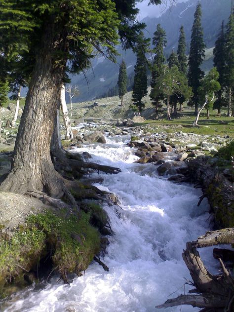 Sonmarg, Kashmir Nature, Kashmir Images, Kashmir Pics, Sonmarg Kashmir, Kashmir Aesthetic, Kashmir Photography, Kashmir Beauty, Gulmarg Kashmir, Pakistan Tourism