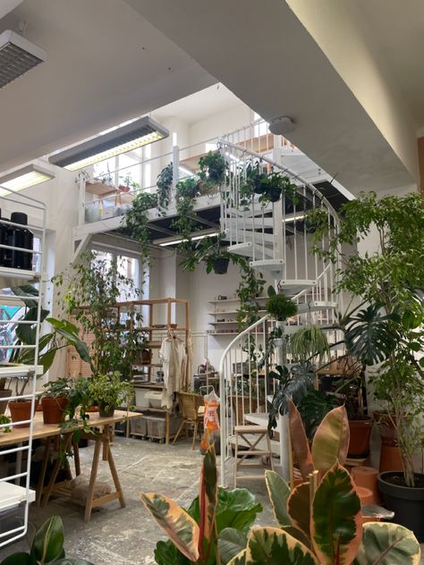 Aesthetic Apartment Plants, Green Plants Aesthetic Room, Houses Full Of Plants, Modern Plant Apartment, Green Plant House Aesthetic, Green Home Astetic, Apartment With Plants Aesthetic, House Of Plants, Plant Filled House