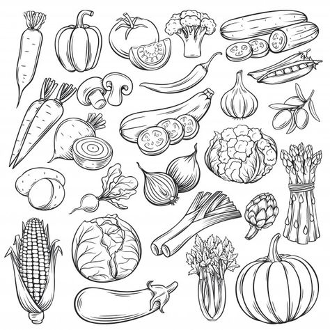 Hand drawn vegetables icons set | Premium Vector #Freepik #vector #food #vintage #hand #hand-drawn Drawings Of Vegetables, Drawing Vegetables, Koch Tattoo, Fruit Doodle, Recipe Book Design, Vegetable Drawing, Recipe Drawing, Arte Doodle, Vegetable Illustration