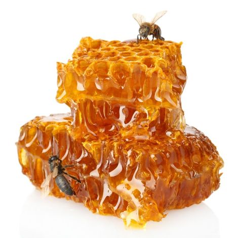 At What Temperature Does Honey become Toxic according to Ayurveda? - John Douillard's LifeSpa | Ayurveda and Natural Health Honey And Bee, Honey Mead, Cocoa Fruit, Feeding Bees, Harvesting Honey, Greek Yogurt Protein, Maillard Reaction, 귀여운 음식 그림, Ayurvedic Doctor