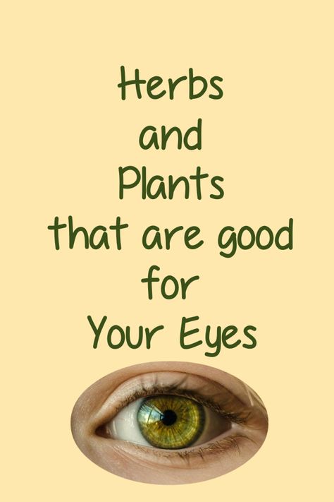 There are natural ways to improve your eyesight including using plant remedies. Discover the plants that can improve eyesight naturally. Plants that can help macular degeneration, glaucoma, night blindness, sties and tics. Eye Health Remedies, Eye Health Food, Eye Sight Improvement, Eye Exercises, Home Remedy For Cough, Cold Sores Remedies, Vision Eye, Natural Healing Remedies, Natural Sleep Remedies