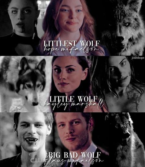 Pin by Dany Hdz on The originals | Klaus and hope, Vampire diaries memes, Hayley and klaus Klaus And Haley The Originals, Vampire Diaries Characters, The Originals Klaus, Klaus And Hope, Hayley The Originals, Hayley And Klaus, Mikaelson Family, The Vampires Diaries, Klaus The Originals