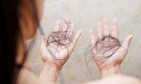 Essen, Strands Of Hair, Hair Falling, Kesehatan Gigi, Breaking Hair, Fue Hair Transplant, Hair Clinic, Bald Spot, Health Questions