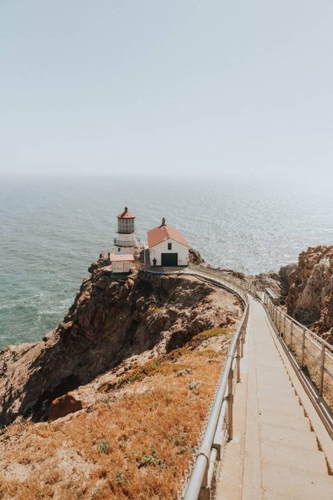 Point Reyes California, Point Reyes Lighthouse, Pacific Coast Road Trip, Mount Tamalpais, To Do In San Francisco, Point Reyes National Seashore, Point Reyes, Have Inspiration, Road Trip Hacks