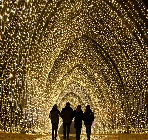 Natal, Tunnel Of Lights, Chicago Christmas, Tree Deck, Glass Castle, Light Tunnel, Best Places To Retire, Christmas Light Installation, Light Festival