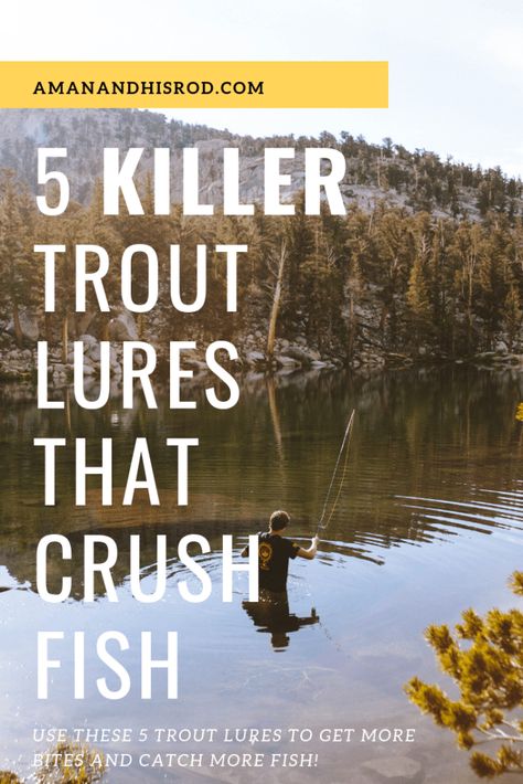 5 Killer Trout Lures That Crush Fish | A Man and His Rod Best Trout Lures, Trout Fishing Gear, Trout Fishing Lures, Kayak Fishing Tips, Trout Bait, Trout Fishing Tips, Fishing For Beginners, Fly Fishing Tips, Bass Fishing Tips