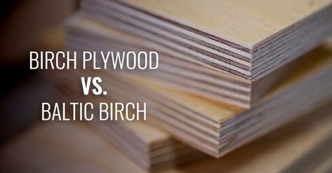 Baltic Birch Plywood Projects, Baltic Birch Plywood Cabinets, Birch Plywood Shelves, Staining Birch Plywood, Birch Plywood Walls, Birch Plywood Cabinets, Staining Plywood, Birch Plywood Kitchen, Plywood Shelving