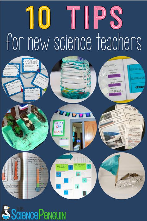 Science Notebooks, Elementary Science Teacher, The Science Penguin, Sixth Grade Science, Science Penguin, Middle School Science Classroom, 7th Grade Science, 8th Grade Science, 4th Grade Science