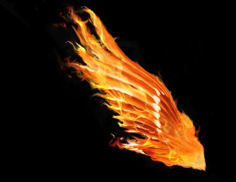 Phoenix Wings Tattoo, Phoenix Wings, Alas Tattoo, Flame Tattoos, Photoshop Digital Background, Wings Drawing, Fire Tattoo, Wing Tattoo, Wings Art