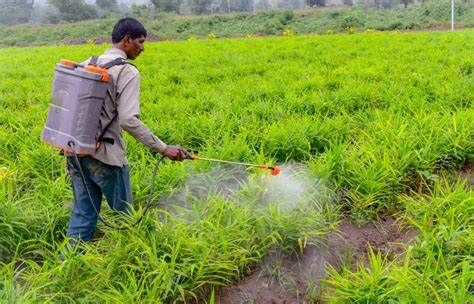 Herbicides And Pesticides, Science Collage, Pesticides For Plants, Biological Hazard, Agriculture Photos, Killing Weeds, Agriculture Projects, Kill Bugs, Crop Protection