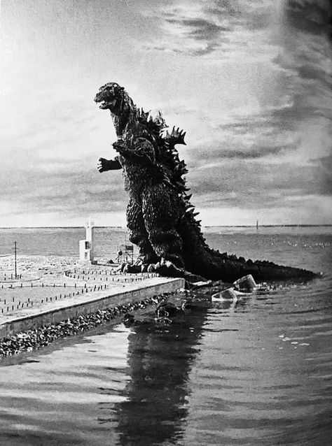 Tumblr, Godzilla Raids Again, Godzilla Suit, Original Godzilla, Godzilla 2, Godzilla Funny, Japanese Show, Sci Fi Props, Godzilla Wallpaper