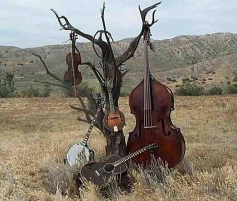 instruments for the rowdy psychobilly hoedown....also for a mellow bluegrass afternoon Music