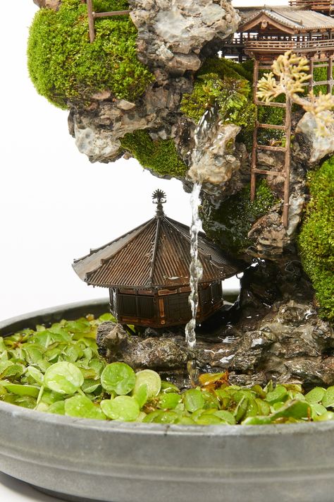 Cliff Bonsai tree, miniature landscape Bonsai Tree Zen Garden, Mini Bonsai Garden, Japanese Miniature Garden, Japanese Garden Terrarium, Japanese Terrarium, Bonsai Landscape, Japanese Miniature, Japanese Bonsai Tree, Tree Miniature