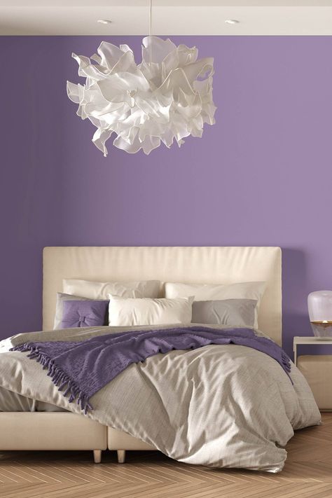 Purple Colour Bedroom Ideas, Bedroom Lilac Walls, Lavender And Cream Bedroom, Purple And Cream Bedroom, Light Purple Room Ideas Bedrooms, Lilac And White Bedroom, Lilac Walls Bedroom, Purple And White Room Ideas, Purple Wall Bedroom Ideas