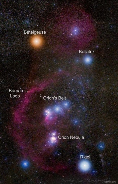 Do you recognize this constellation? Although it is one of the most recognizable star groupings on the sky, Orion's icons don't look quite as colorful to the eye as they do to a camera. In this 20-image digitally-composed mosaic, cool red giant Betelgeuse takes on a strong orange tint as the brightest star at the upper left. Orion's hot blue stars are numerous, with supergiant Rigel balancing Betelgeuse at the lower right, and Bellatrix at the upper right Lined up in Orion's belt are three stars Bellatrix Star, Betelgeuse Star, Rigel Star, Orion Belt, Orions Belt, Emission Nebula, Orion Tattoo, Nebula Wallpaper, Orion's Belt